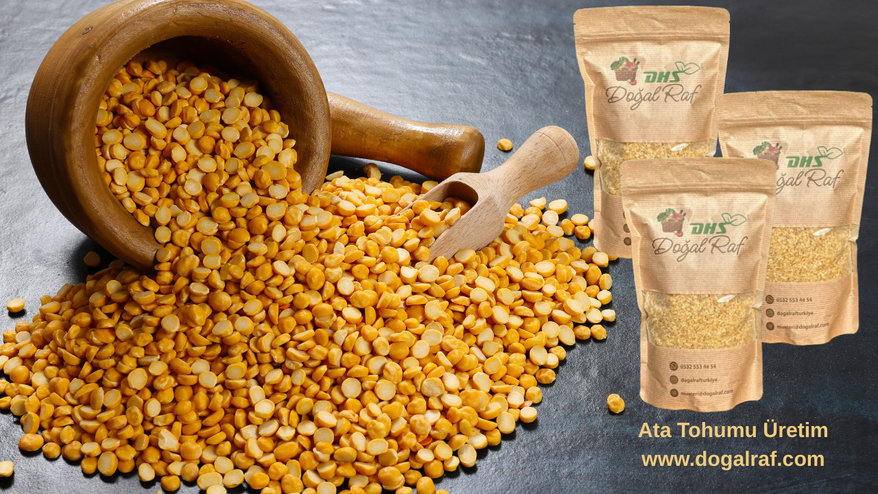 Doğal Ata Tohumu Sarı Mercimek