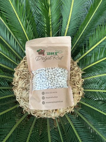 Doğal Ata Tohumu Kuru Fasulye