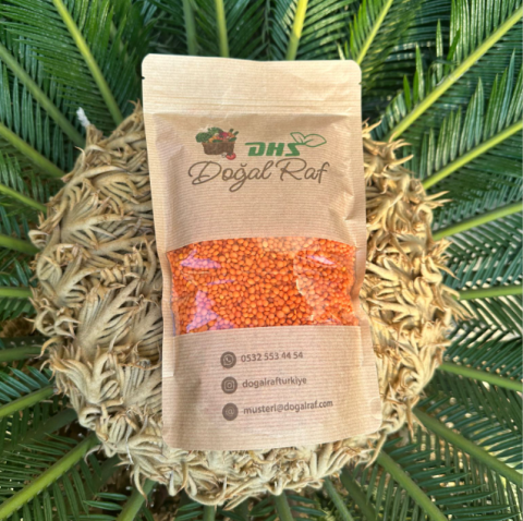 Doğal Ata Tohumu Kırmızı Mercimek