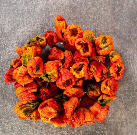 Dolmalık Biber Kurusu